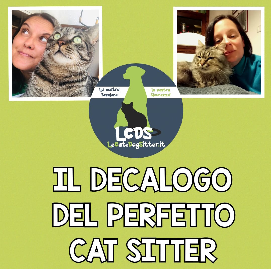 Decalogo del perfetto Cat Sitter