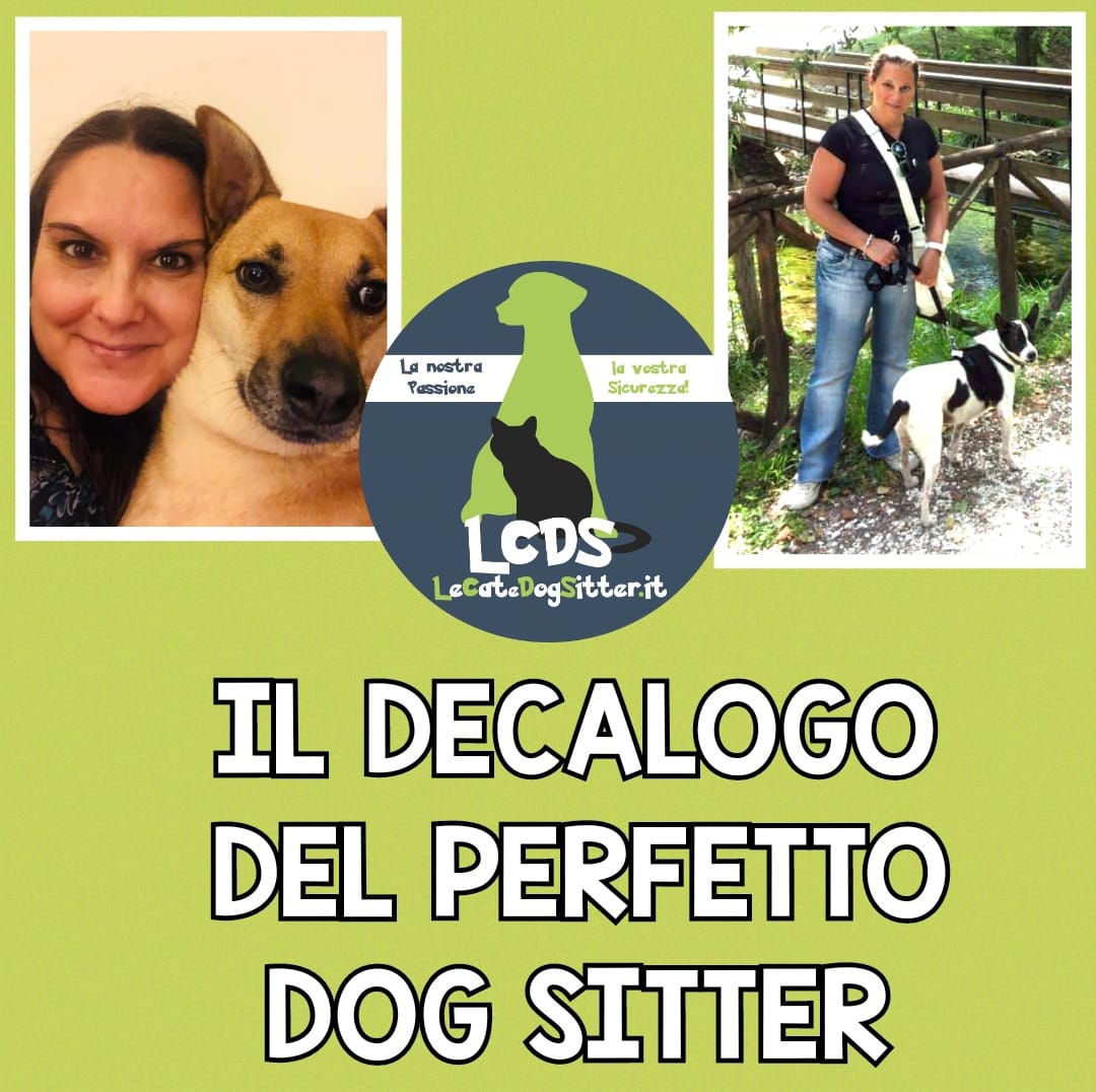 Decalogo del perfetto Dog Sitter