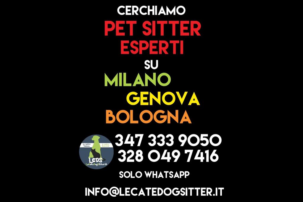 Le Cat e Dog Sitter cercano Pet Sitter!