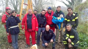 L’avventura a lieto fine del cane Martino, salvato da una task force d’eccezione