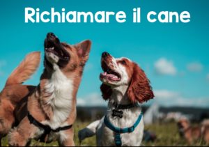 Richiamare il cane