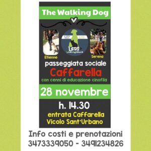 LCDS Lazio: prima passeggiata sociale The Walking Dog