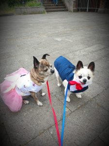 Wedding Dog Sitting: Mia e Bruno