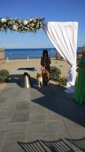 Wedding Dog Sitting: Leila e Tata Fulvia