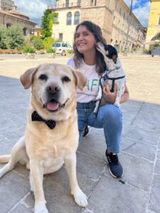 Wedding Dog Sitting: Ray e Birba con Tata Anita