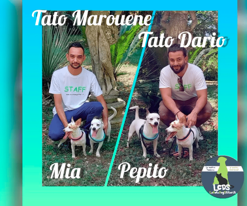 Agosto 2022, Mia e Pepito, 2 simpatici jack russel si divertono al matrimonio della loro famiglia
