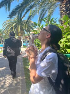 Settembre 2022, Salerno: Kira, piccola e bellissima cagnolina, tra giochi e coccole al wedding della sua famiglia!
