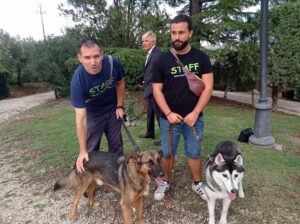 Casale di Polline (Trevignano), settembre 2022: Due splendidi cani, Nanuq e Biagio si godono il wedding della loro famiglia!