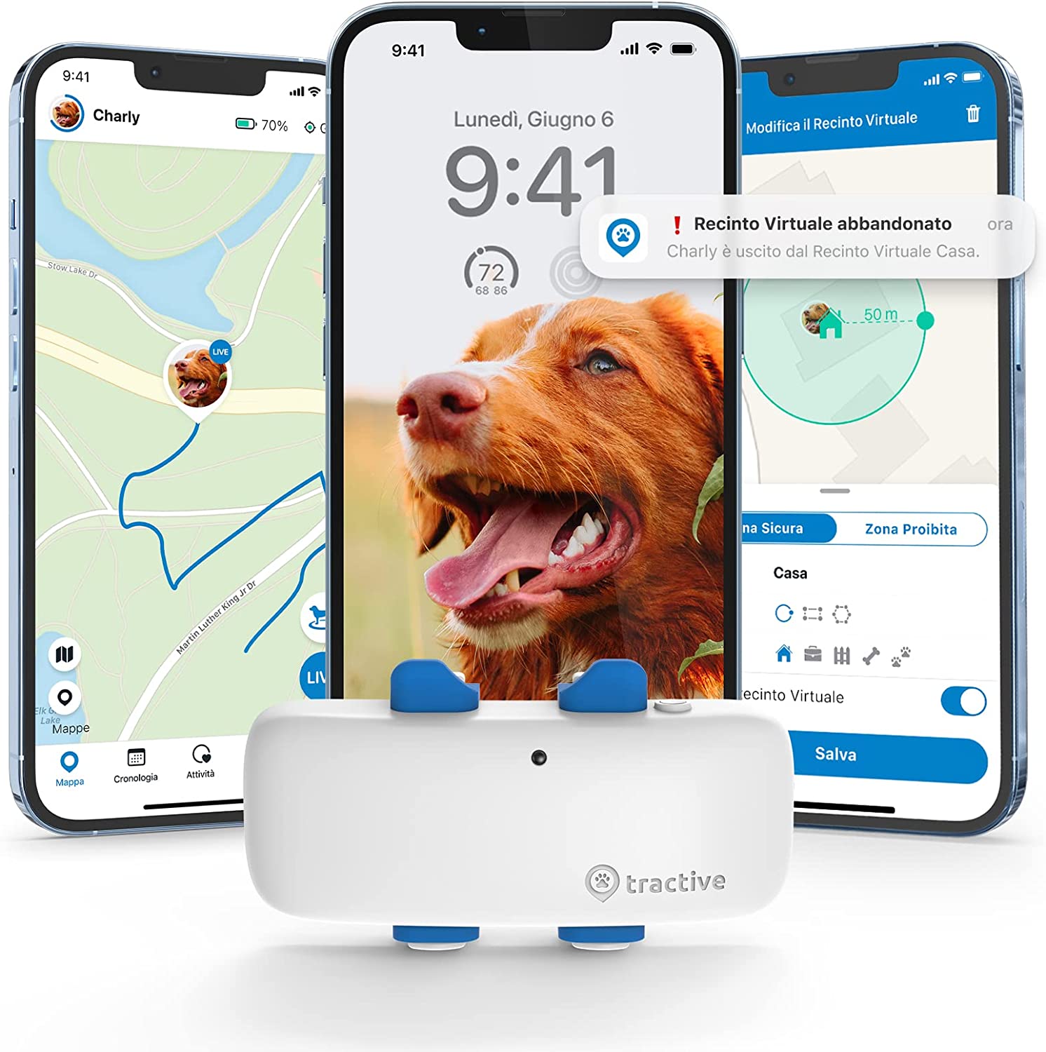 Tractive - GPS per cani, Localizzazione in tempo reale con raggio  illimitato, Compatibile con tutti i collari - Le Cat e Dog Sitter