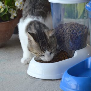 Ferplast Distributore Cibo Secco per Cani e Gatti