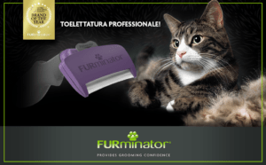 FURminator deShedding-Tool Taglia del gatto M/L – Spazzola per gatti di medie e grandi dimensioni per rimuovere il sottopelo, a pelo lungo