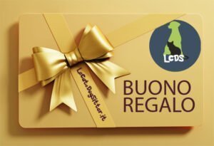 Conoscete già il Buono Regalo LCDS?