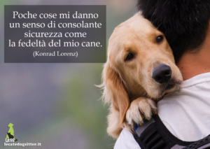 Aforismi, frasi celebri su Cani e Gatti - Le Cat e Dog Sitter