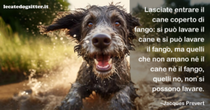 Aforismi, frasi celebri su Cani e Gatti - Le Cat e Dog Sitter