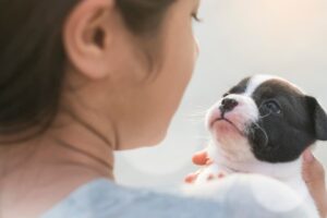 Il giusto tono di voce per parlare con cane e gatto