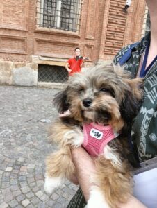 Travel Dog Sitting LCDS: Frida alla scoperta di Torino