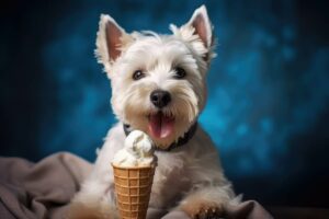 Cani e gelati, le regole per servire un dolcetto fresco all’amico a quattro zampe
