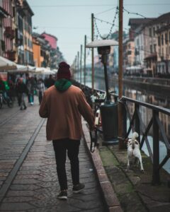 Travel Dog Sitting LCDS. Una gita a… Milano