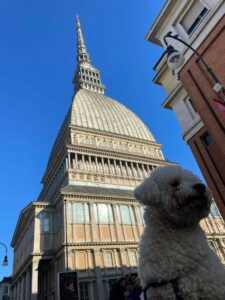 Travel Dog Sitting LCDS. Una gita a… Torino