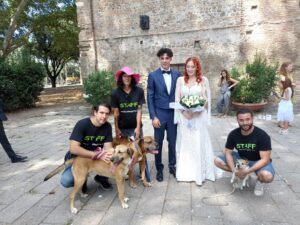 Wedding Dog Sitting LCDS a Roma. Un trio fantastico per un matrimonio da favola