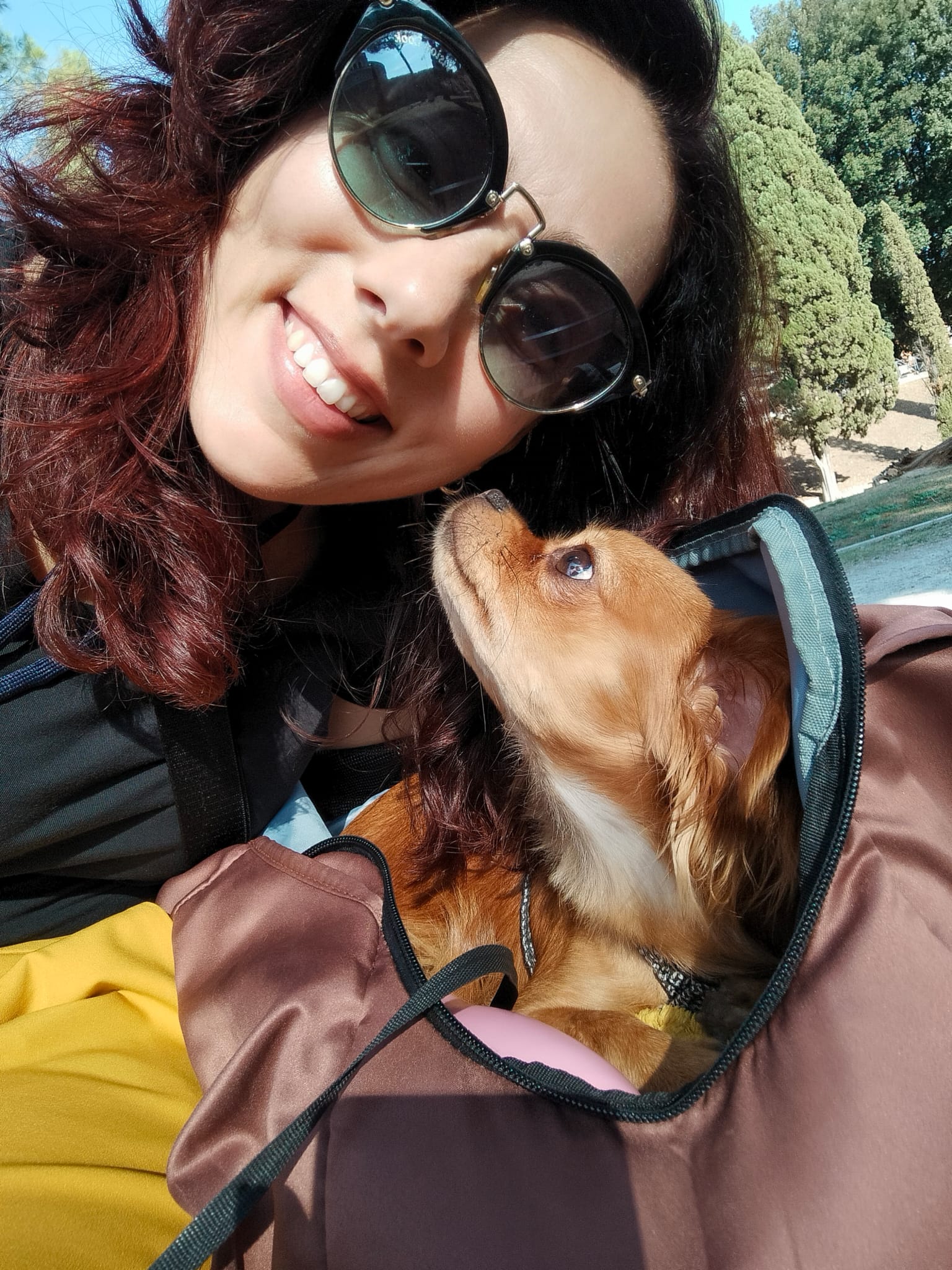 Travel Dog Sitting LCDS. Le vacanze romane di Piper