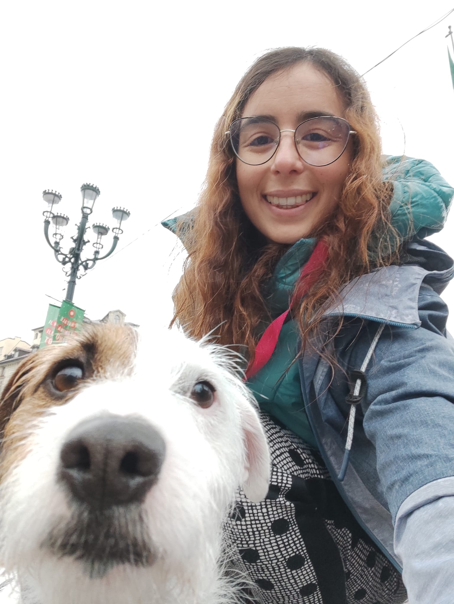 Travel Dog Sitting LCDS. Roy in gita a Torino!
