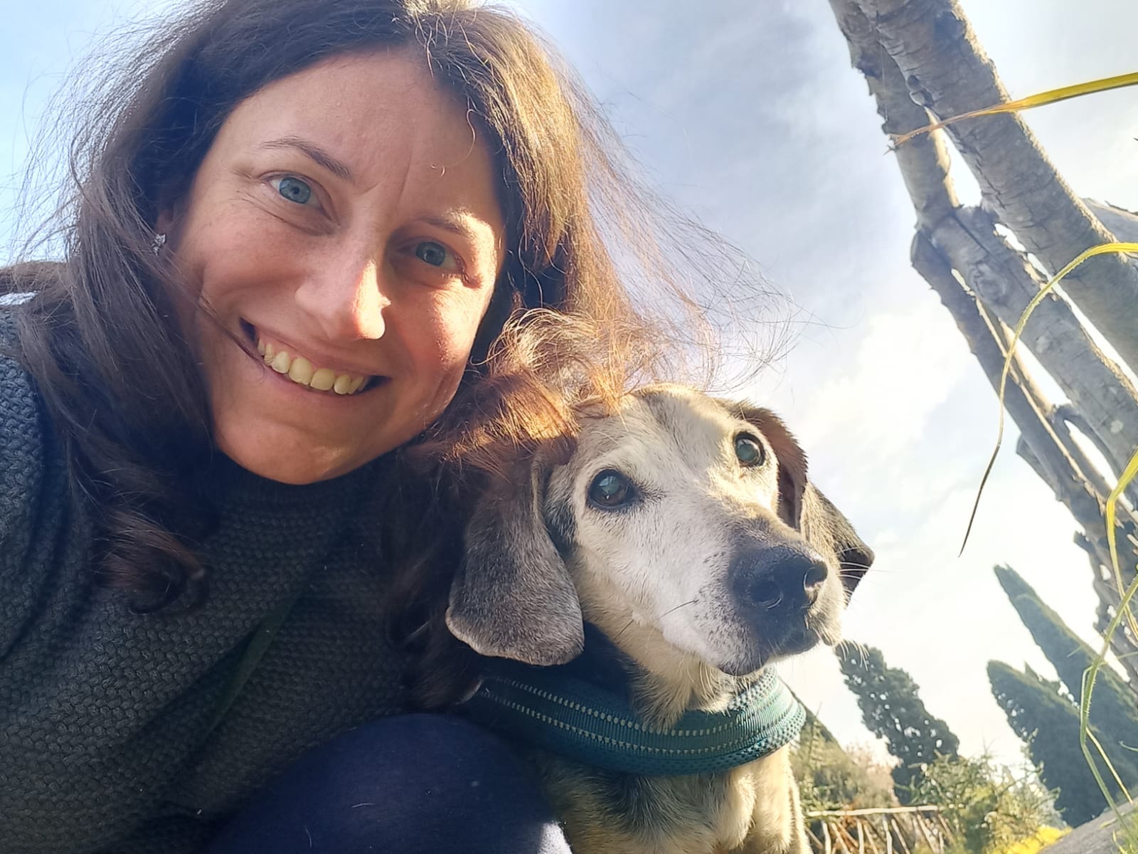 Ozonoterapia a domicilio per i nostri animali domestici