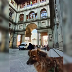 Travel Dog Sitting LCDS a Firenze. Kira con Tata Chiara