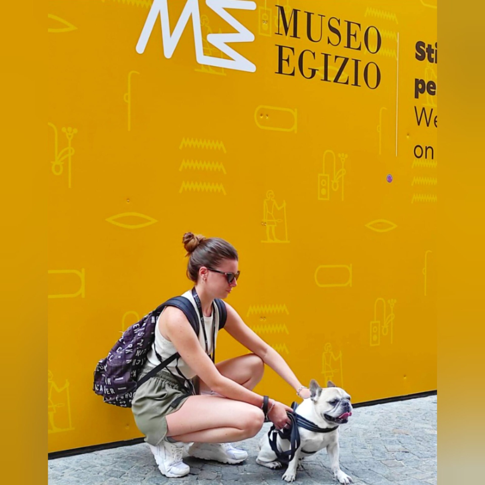 Travel Dog Sitting LCDS a Torino