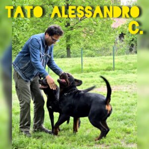Alessandro C.