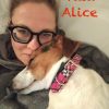 Tata Alice