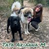 Tata Arianna M.