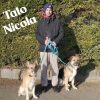 Tato Nicola