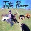 Tato Piero
