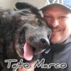 TatoMarco